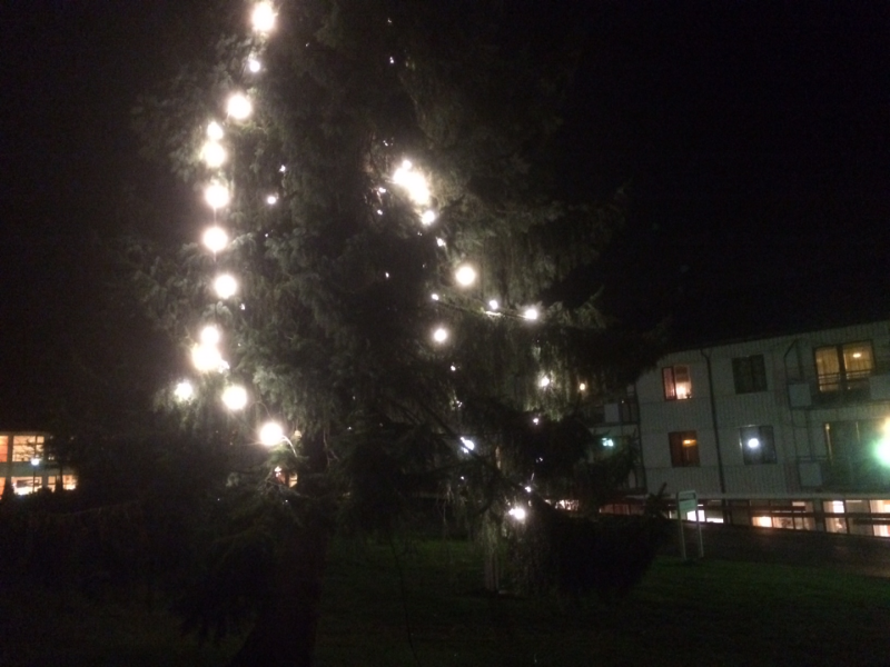 Julemøte i Sykkylven Rotaryklubb 21. des. 2016