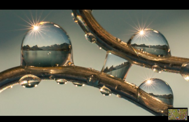 Medlemsmøte 17 april 2024 med ego foredrag