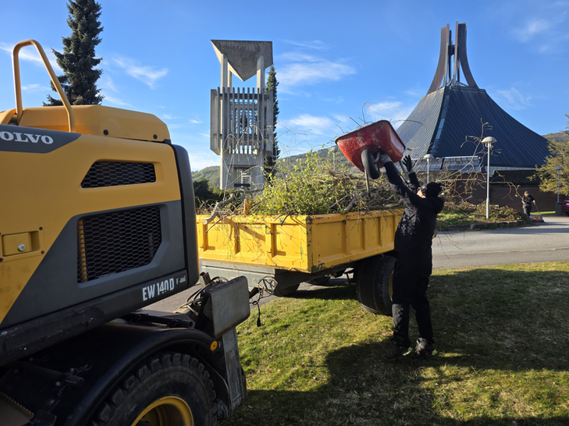 Rydding i kirkeparken